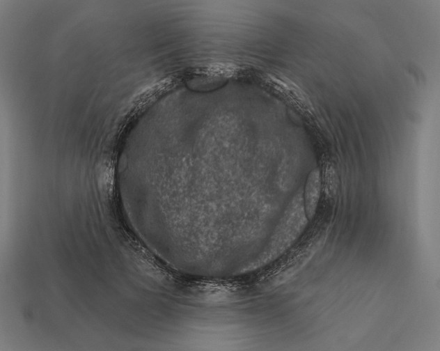 X0000112420697200909111010