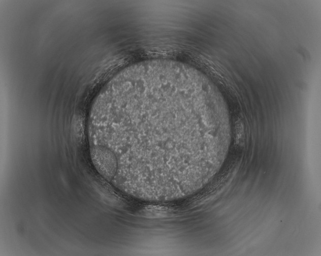 X0000112420699200909111010