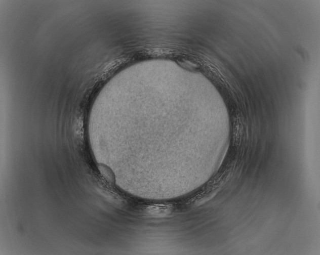 X0000112420700200909111010