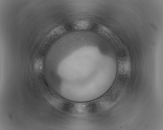 X0000112420701200909111010