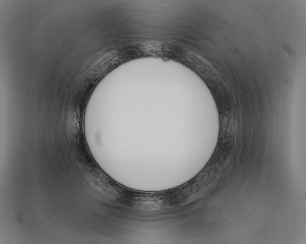 X0000112420702200909111010