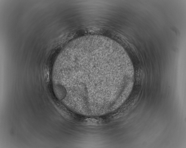 X0000112420703200909111010