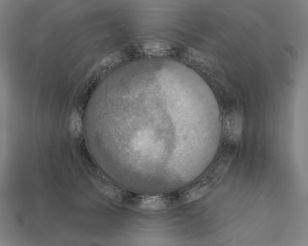 X0000112420705200909111010