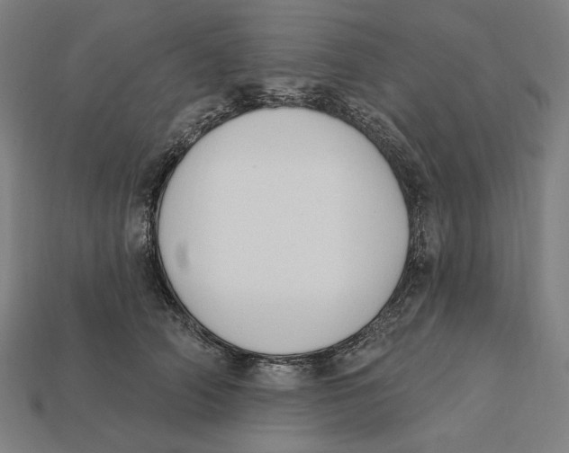 X0000112420706200909111010