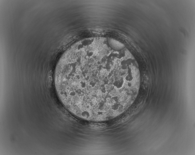 X0000112420707200909111010