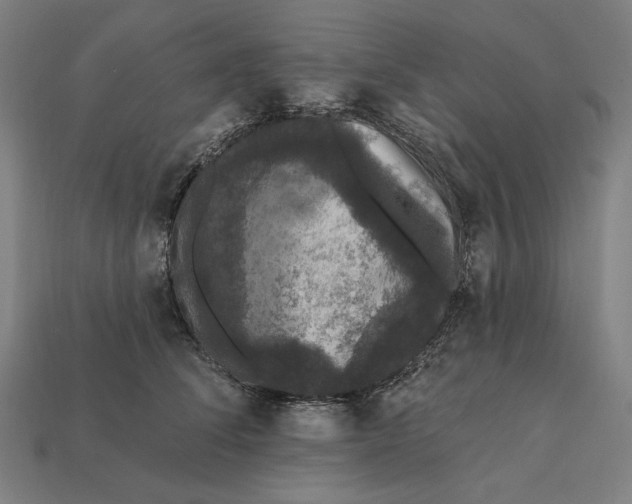 X0000112420708200909111010