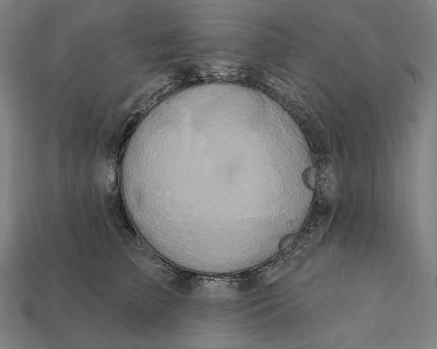 X0000112420709200909111010