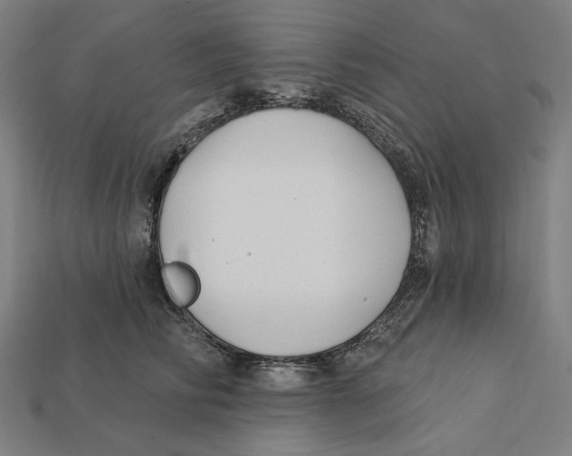 X0000112420710200909111010