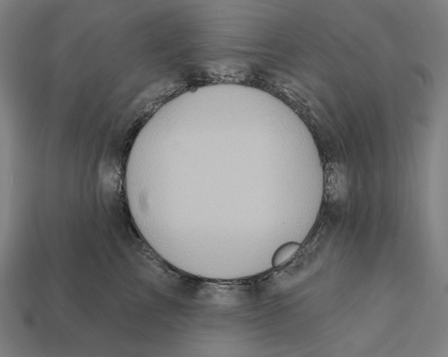 X0000112420713200909111010