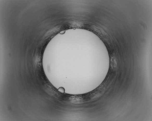 X0000112420714200909111010