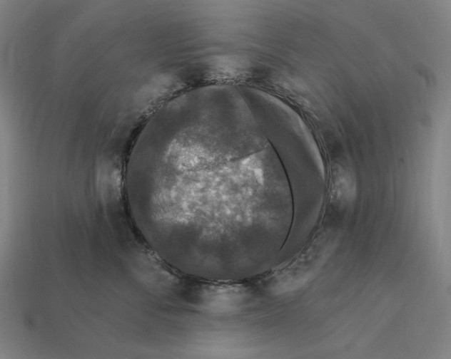 X0000112420716200909111010