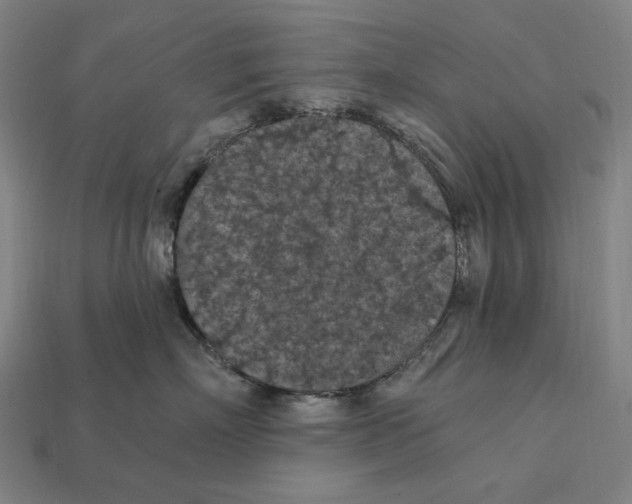 X0000112420718200909111010