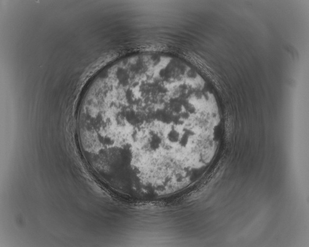 X0000112420721200909111009