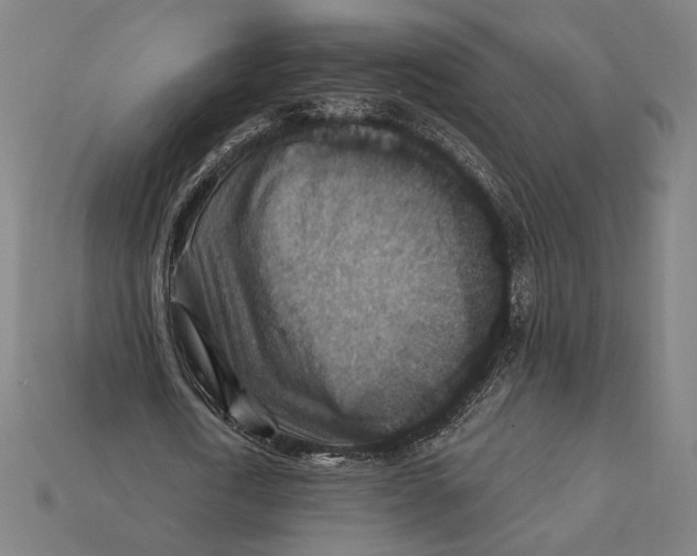 X0000112420722200909111009