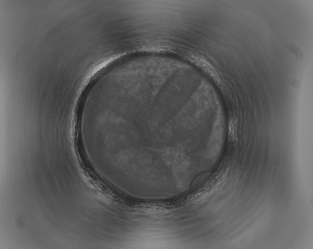 X0000112420724200909111009