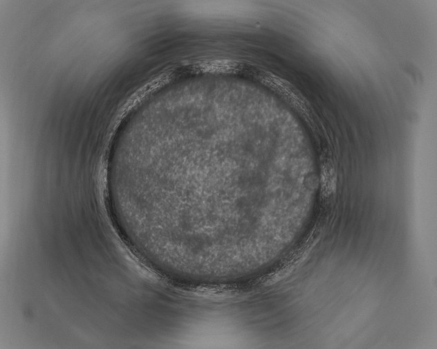 X0000112420725200909111009