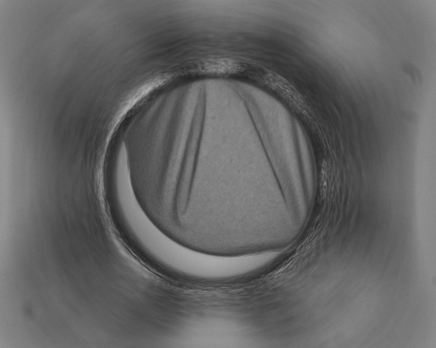 X0000112420726200909111009