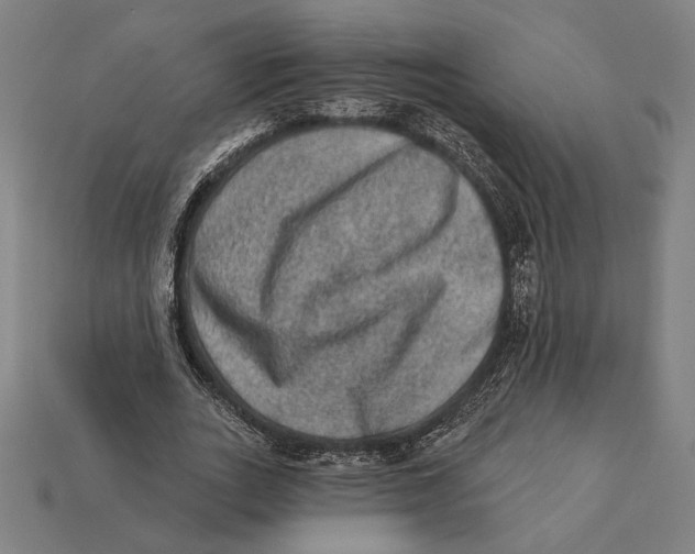 X0000112420727200909111009