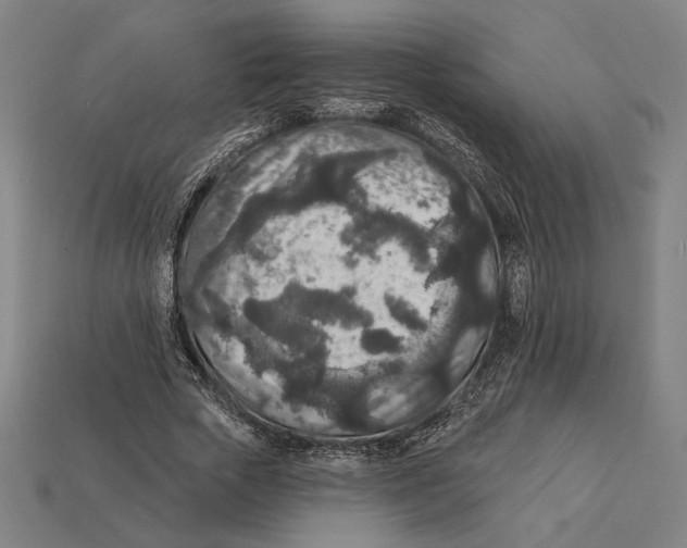 X0000112420729200909111009