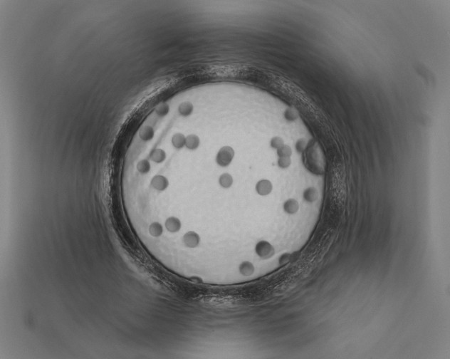 X0000112420730200909111009