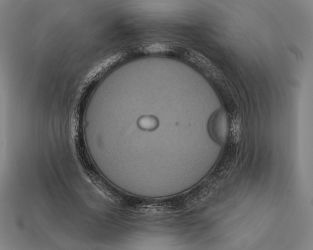 X0000112420732200909111009