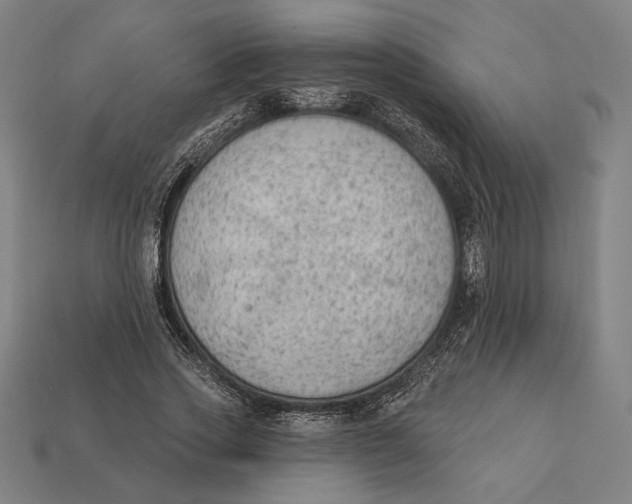 X0000112420733200909111009