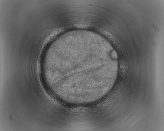 X0000112420734200909111009