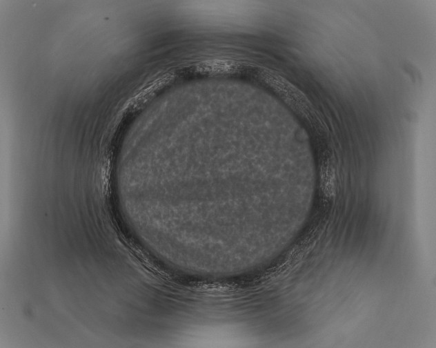 X0000112420735200909111009