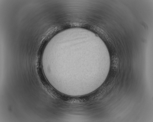 X0000112420738200909111009