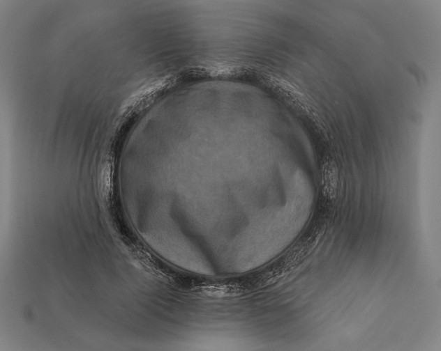 X0000112420740200909111009