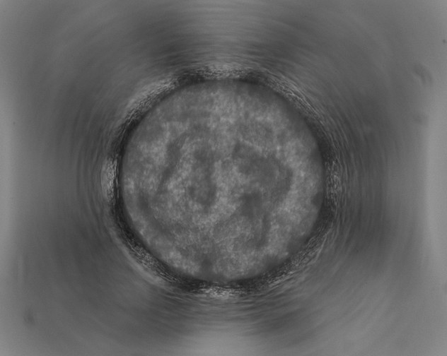 X0000112420742200909111009