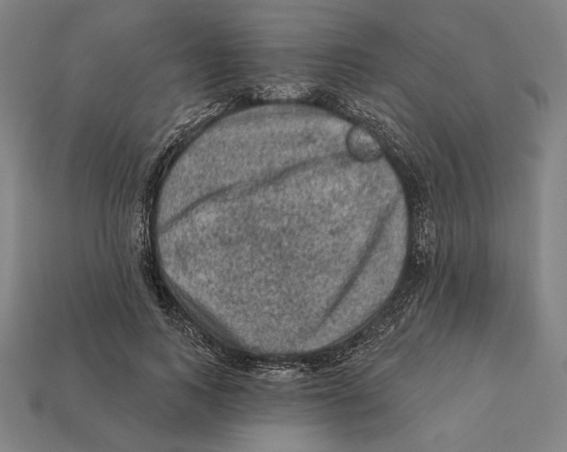 X0000112420743200909111009