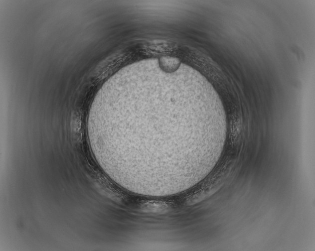 X0000112420749200909111010