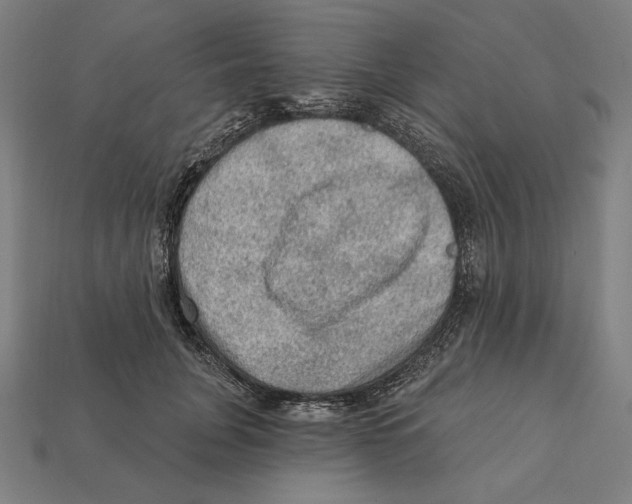 X0000112420751200909111010