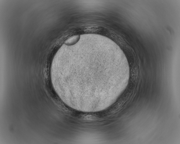 X0000112420755200909111010