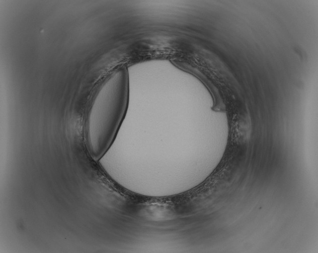 X0000112420756200909111010