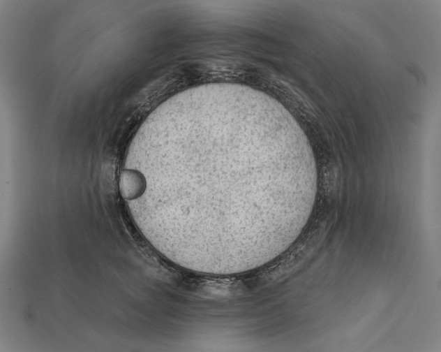 X0000112420757200909111010