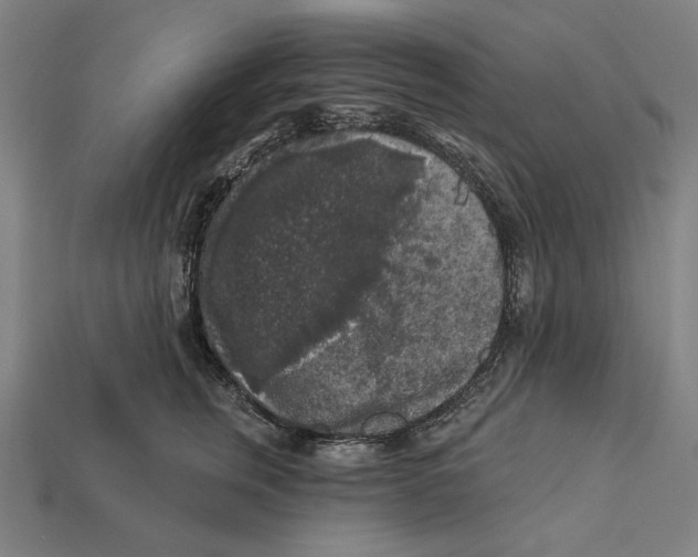 X0000112420759200909111010