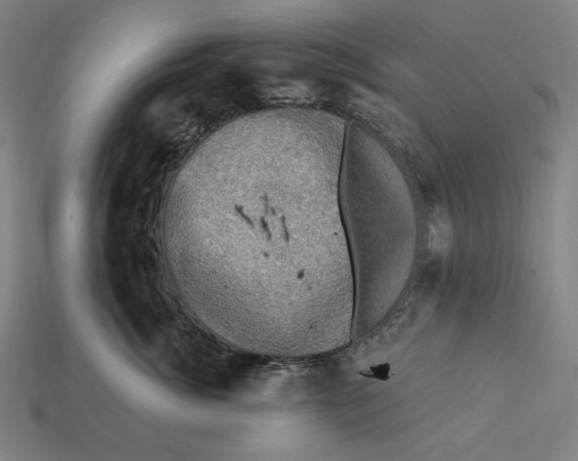 X0000112420764200909111010