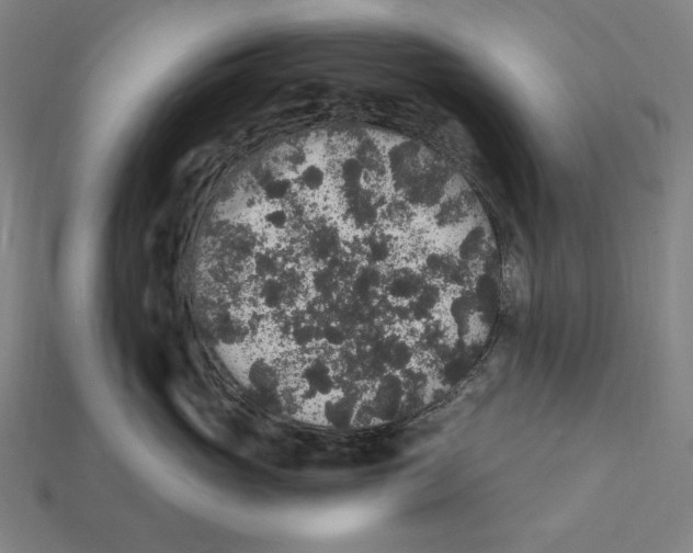 X0000112420765200909111010