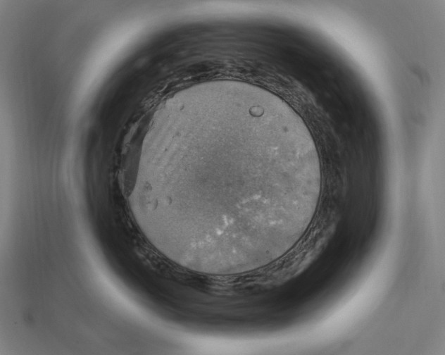 X0000112420766200909111010