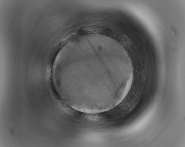 X0000112420767200909111010