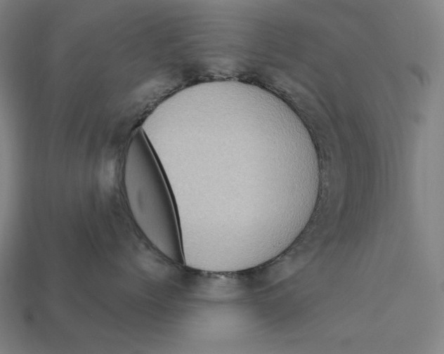 X0000112420768200909111010