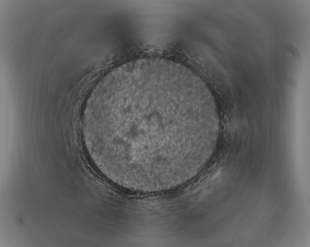 X0000112420769200909111009