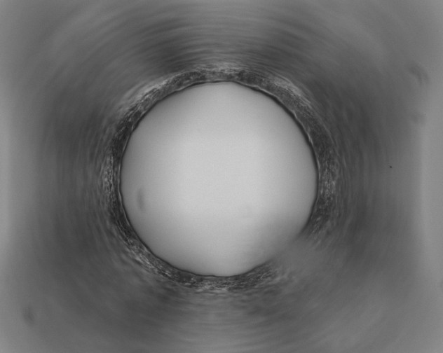 X0000112420773200909111009