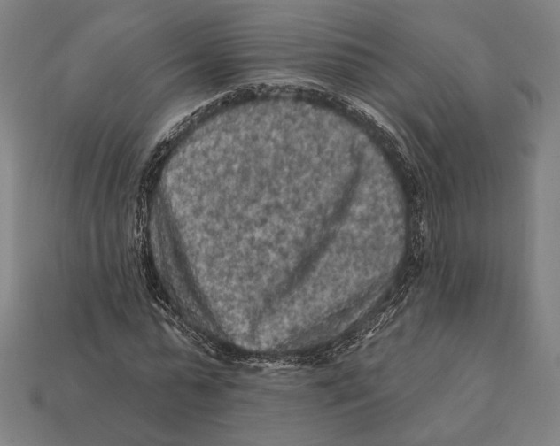 X0000112420775200909111009