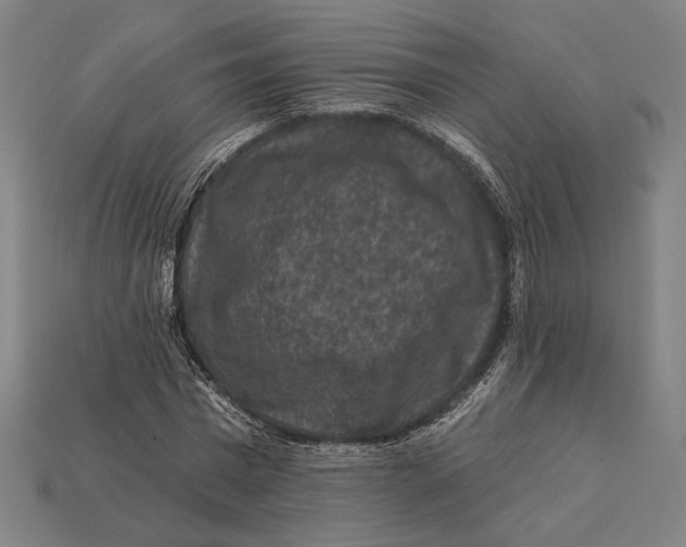 X0000112420777200909111009