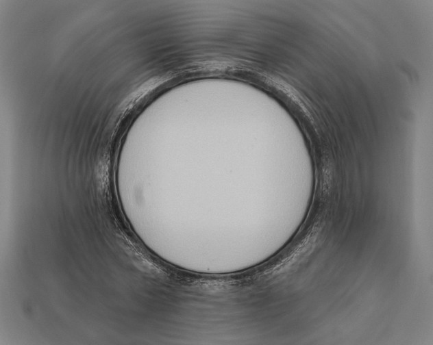 X0000112420778200909111009