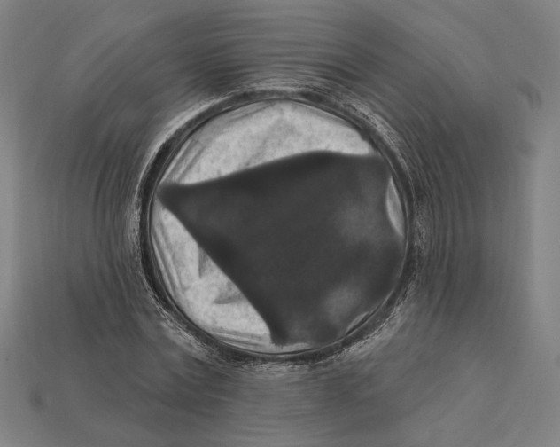 X0000112420779200909111009