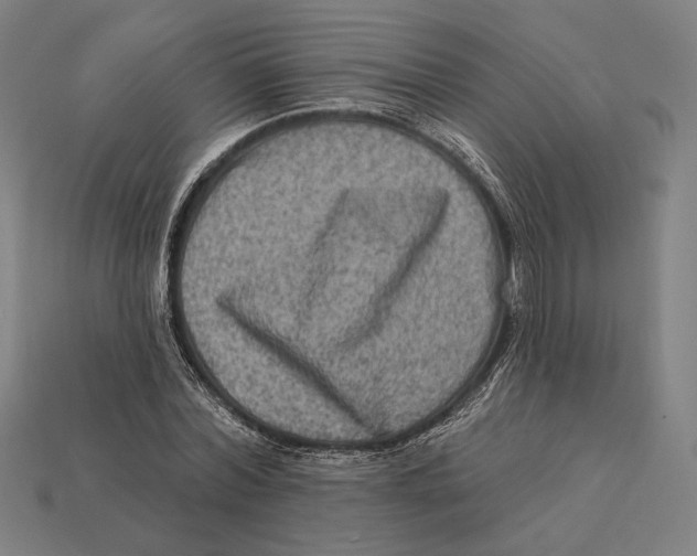 X0000112420780200909111009